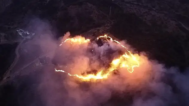 Keneyi yakmak isterken ormanı yaktı