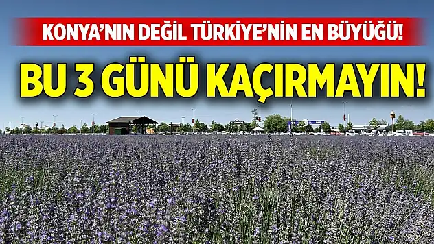 Konya'nın değil Türkiye'nin en büyüğü! Bu 3 günü kaçırmayın