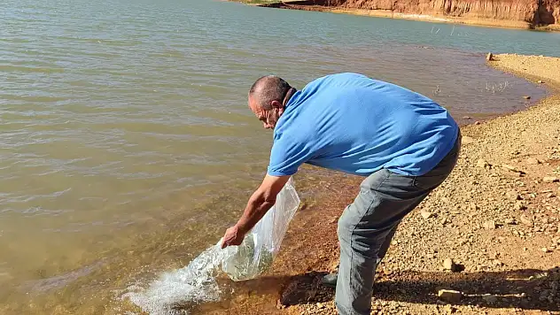 Konya'nın su kaynakları balıklandırılıyor