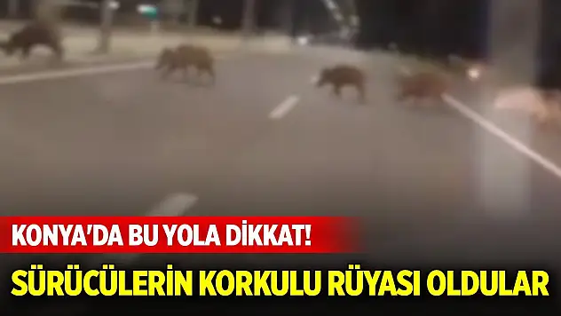 Konya'da bu yola dikkat! Bir an çıkıp hayati tehlikeye neden açıyorlar