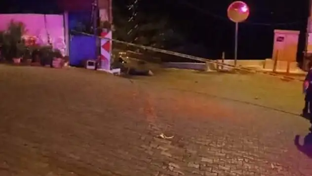 Üç kardeş, av tüfeği ile öldürüldü