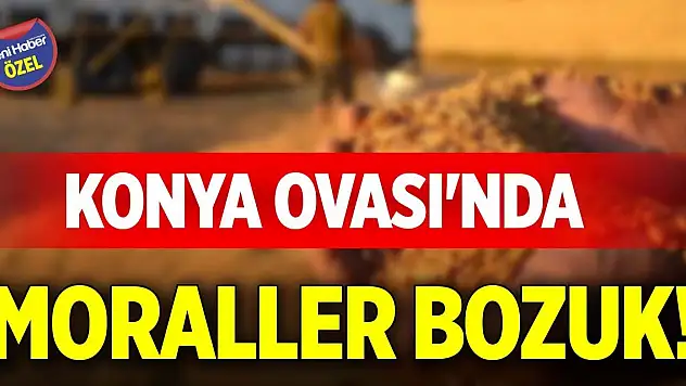 Konya Ovası'nda moraller bozuk!