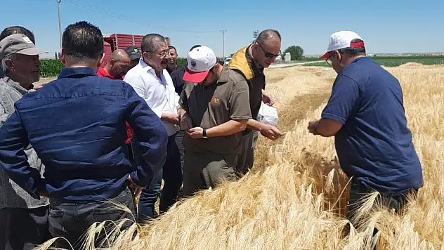 Karapınar'da hububat hasadı devam ediyor