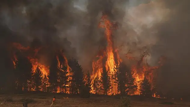 Orman yangınlarıyla ilgili gözaltına alınan 44 şüpheliden 10'u tutuklandı
