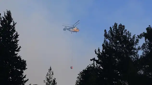 Hatay, Bursa ve Edirne'deki orman yangınları kontrol altına alındı