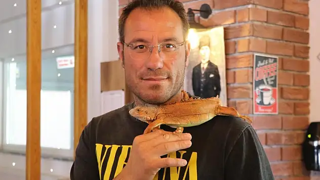 Omuzlarda gezen 'Ökkeş'