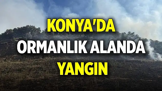 Konya'da ormanlık alanda yangın paniği
