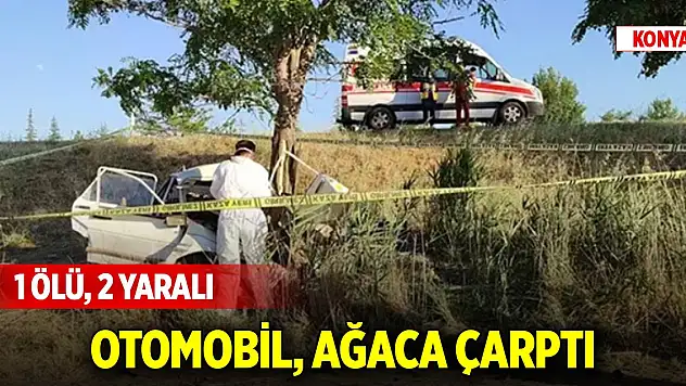 Konya'da otomobil, ağaca çarptı: 1 ölü, 2 yaralı
