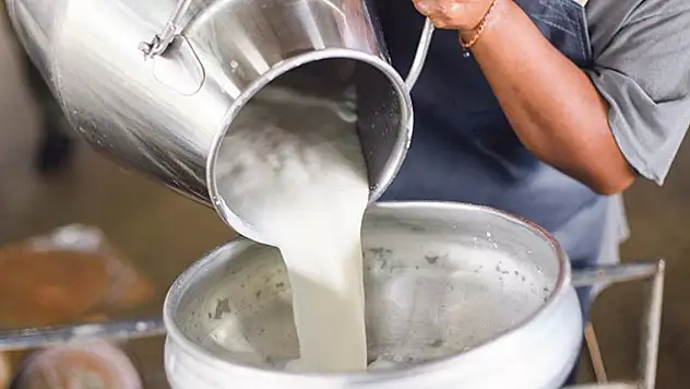 Bakanlıktan çiğ süt alımı yapan 4 şirkete 58,3 milyon lira ceza