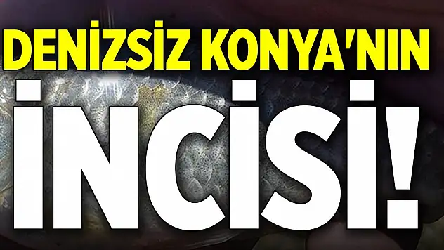 Denizsiz Konya'nın incisi!