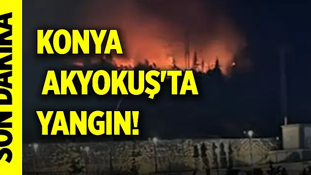 Son dakika! Konya Akyokuş'ta yangın! Alevler şehrin birçok noktasından görüldü