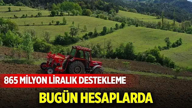 Tarım Bakanı Yumaklı: 865 milyon liralık destek ödemesi bugün hesaplarda