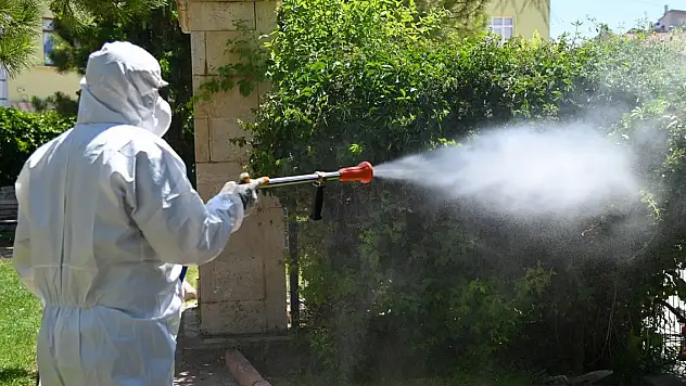 Konya'da haşere mücadelesi devam ediyor