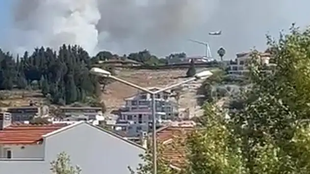 Bir orman yangını daha