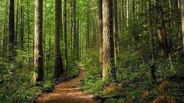 Konya'nın o ilçesine yasak geldi