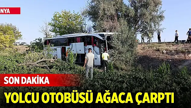 Konya'da yolcu otobüsü yoldan çıkarak ağaçlara çarptı: 7 yaralı