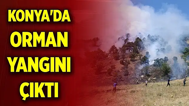 Konya'da orman yangını çıktı! Ekipler müdahale ediyor