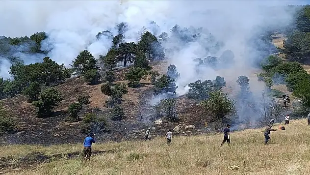 Konya'da çıkan orman yangınına müdahale ediliyor