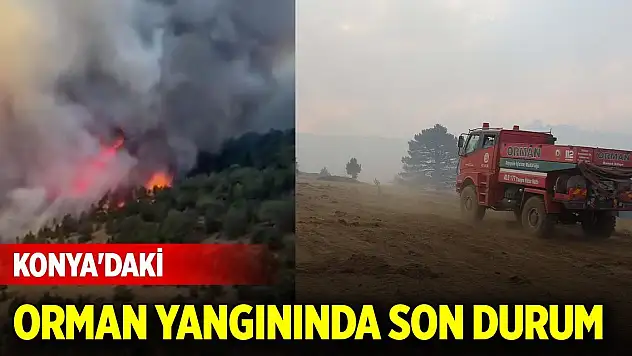 Konya'da çıkan orman yangınında son durum