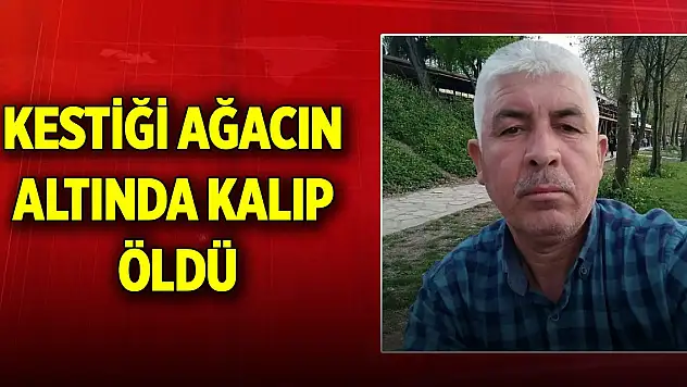 Kestiği ağacın altında kalıp öldü