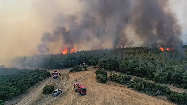 Tekirdağ'da çıkan orman yangını Çanakkale'ye sıçradı