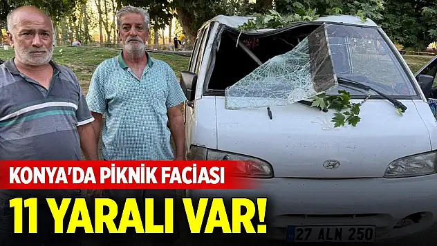 Konya'da piknik faciası: 11 yaralı