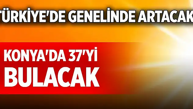 Türkiye'de genelinde artacak! Konya'da 37'yi bulacak