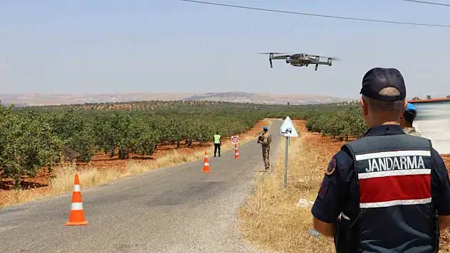 Jandarma ekipleri 'yeşil altın' için nöbette