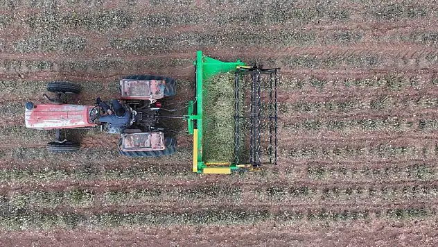 Konya'da kuraklığa dayanıklı bitkiler yeni fırsatlar sunuyor