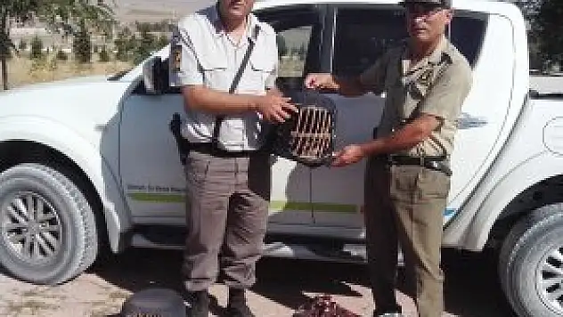 Konya'da canlı keklik satışına suçüstü yapıldı