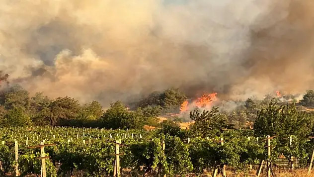 3 ilde orman yangını