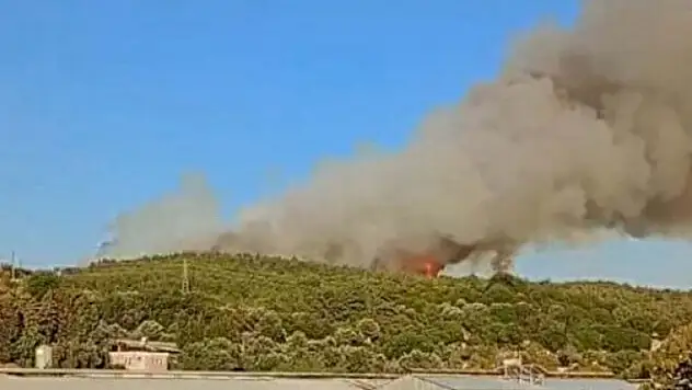 İzmir'de orman yangını