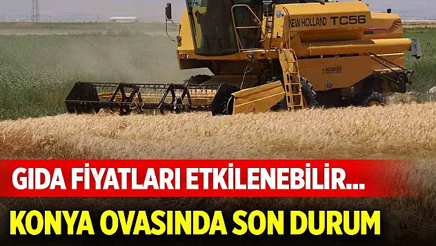 Gıda fiyatları etkilenebilir... Konya Ovasında son durum
