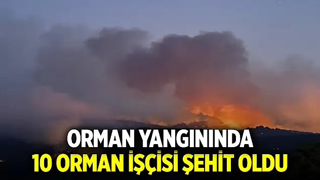 Orman yangınında 10 orman işçisi şehit oldu