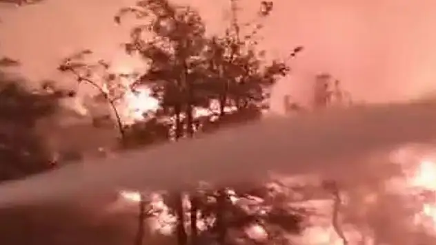 Sakarya Geyve'de orman yangını büyüyor yerleşim yerleri tehdit altında