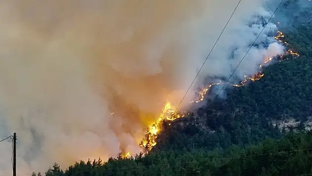 Eskişehir ve Afyon'daki orman yangınına soruşturma