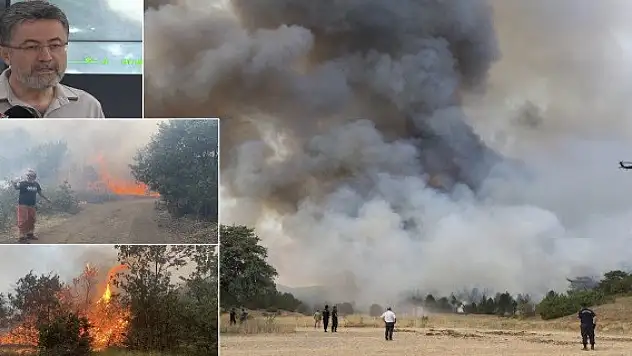 Eskişehir'deki orman yangınında 2 Denizlili ormancı şehit oldu