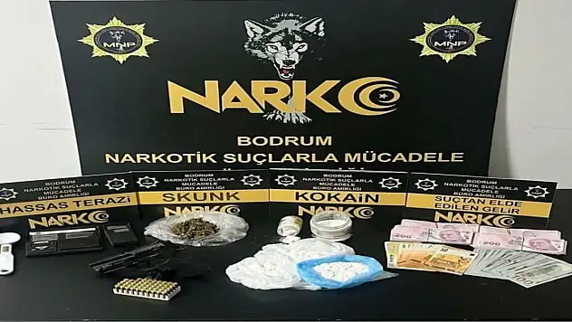 Avrupa'dan Bodrum'a uyuşturucu sevkiyatına darbe: 9 gözaltı