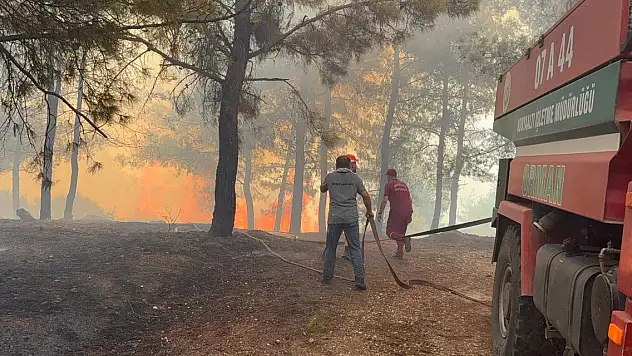 Antalya'da 3 ayrı ilçede orman yangını