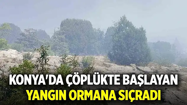 Konya'da çöplükte başlayan yangın ormana sıçradı