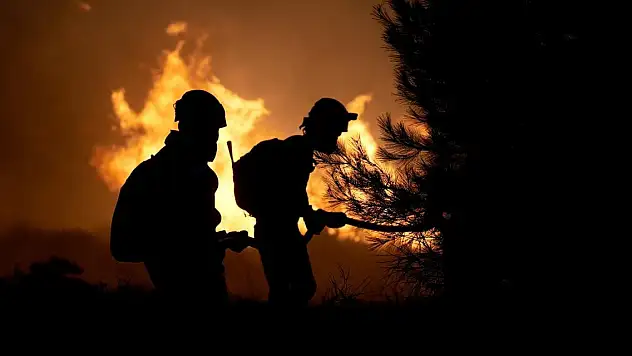 Yangınlarla mücadele için 'Risk Yönetim Ekibi' oluşturuldu