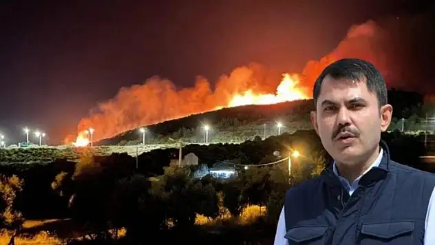 Bakan Kurum: 4 ildeki orman yangınında 87 bağımsız birim hasar aldı