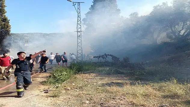 7 ilde orman yangınıyla mücadele sürüyor