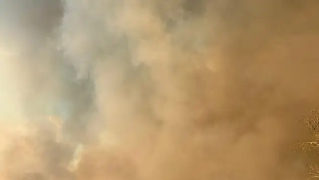 Uşak'taki yangın söndürülemiyor! Tahliyeler devam ediyor