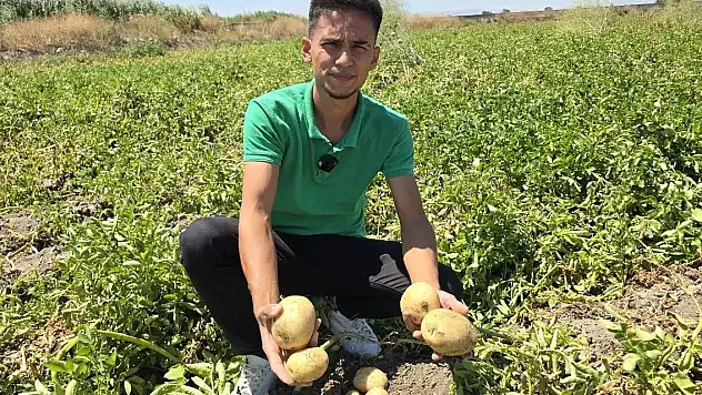 Genç çiftçi, patatesi halka ücretsiz dağıttı
