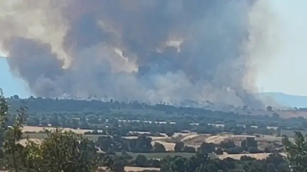 Yangın Türkiye sınırına dayandı