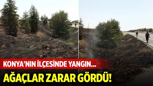 Konya'nın ilçesinde yangın... Ağaçlar zarar gördü!
