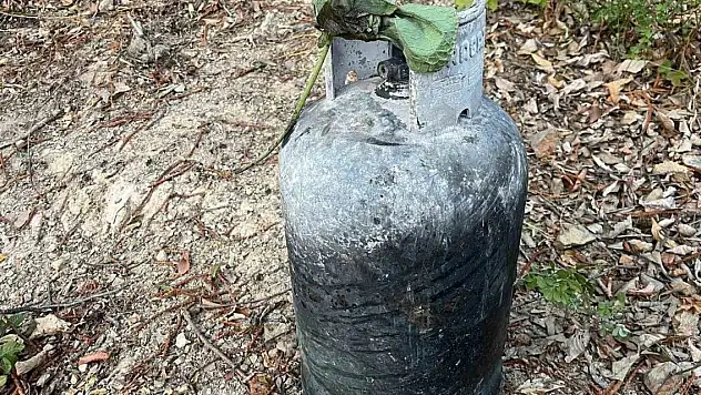 Sakarya Hendek'teki orman yangınının sebebi belli oldu