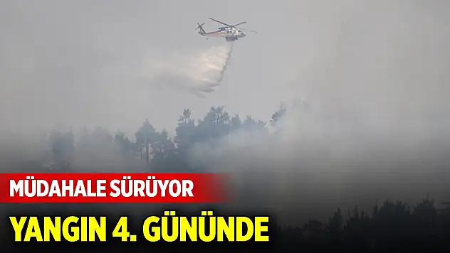 Bursa'nın Orhaneli-Harmancık hattındaki orman yangınına müdahale 4. gününde sürüyor