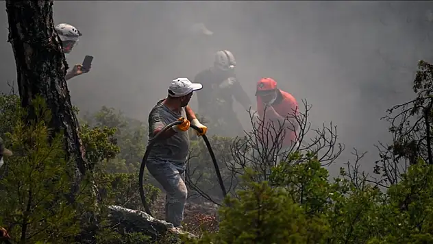 Bakanlıktan orman yangınlarından etkilenen üç ile 10 milyon lira destek